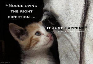 Posted in: by Pamela on October 20, 2012