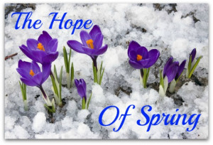 The First Sparrow Of Spring! The Year Beginning With Younger Hope Than ...
