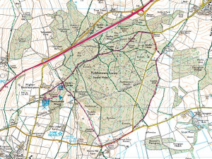 ray park orienteering map
