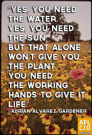 Adrian Alvarez, gardener quote on work. #Labor #1u #p2