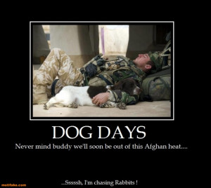 marines-best-friend-his-weapon-dog-marine-afghanistan-heat-s ...