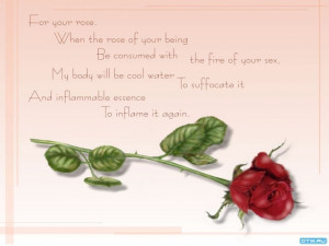 Desire roses love valentines day quotes HD Wallpaper