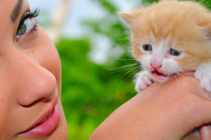 20+ Innocent And Cute Cats 08 20+ Innocent And Cute Cats