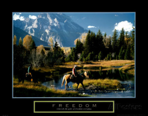 Freedom horses, quote: Cherish the gifts.....
