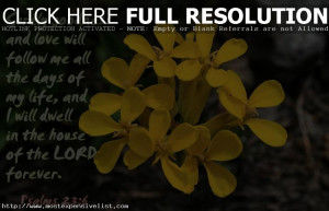 Top 10 Most Popular Bible Verses