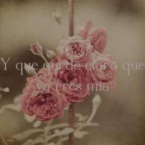 La Arrolladora Banda el Limon