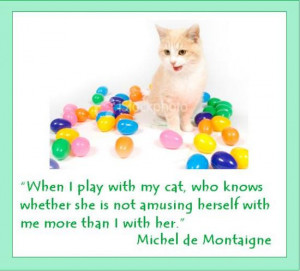 cat quotes famous cat quotes cute cat quotes curiosity killed the cat ...