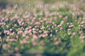 Flower Quotes. Women Garden Quotes. View Original . [Updated on 10/13 ...