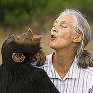 Jane Goodall - past winner of the Kyoto Prize for Biological sciences ...