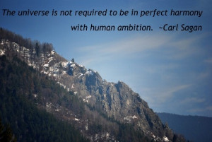... Not Required To Be In Perfect Hormony With Human Ambition - Carl Sagan
