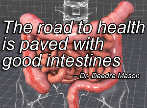 ... The road to health is paved with good intestines