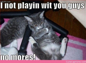 You can create a caption on any of these pictures or upload your own ...