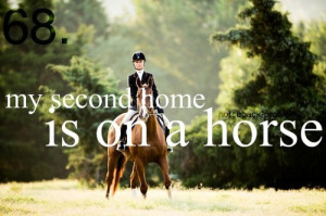 Horse And Rider Quotes Tumblr (12)