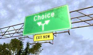Musings On The Choice Model