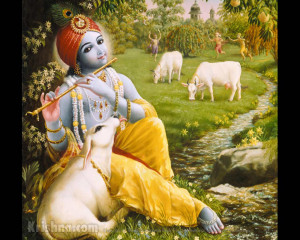 Lord Krishna playing with HIS favorite pets COWS