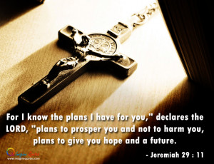 Plans to prosper you Bible Quotes