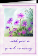 Get well soon-violet flowers card - Product #459651