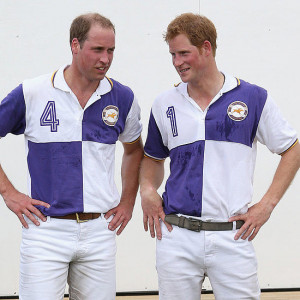 Related Pictures prince william prince harry prince charles