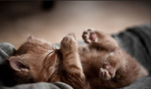 我们都喜欢冷笑话。