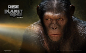 Rise of the Planet of the Apes Wallpaper 7