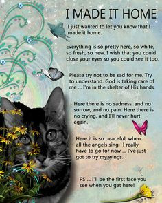 ... Has Lost a Pet - After the Death of a Pet---- 