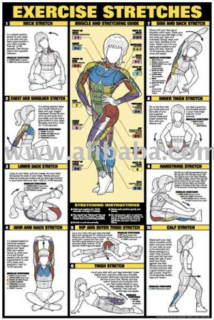 View Product Details: Exercise Stretches 24