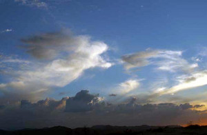 Here are many wonderful cloud formations that remind us of angels.