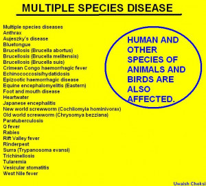 Disease Health Insurance Quotes Tips And