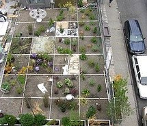 Natalie Jeremijenko Pictures