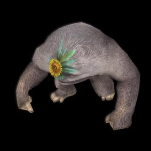 quote] Race: Armor: Element: Size: [/quote]