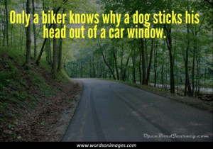 motorcycle diaries quotes collection of inspiring quotes sayings