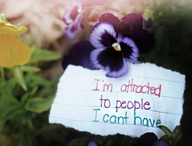 Attraction Quotes & Sayings