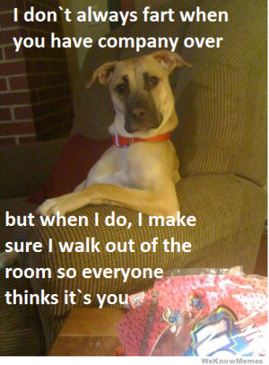 ... things its you – The most interesting farting dog in the world