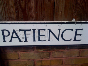 So, what is patience? I asked some friends for help. If you’d like ...