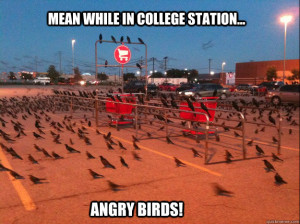 Top 20 most funny Angry birds memes and Jokes .. . #Hilarious #Funny # ...