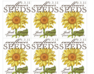 Sunflower Seed Packet Favors Pictures
