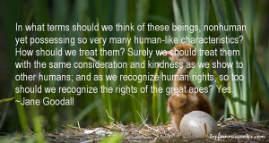 Consideration And Kindness Quotes