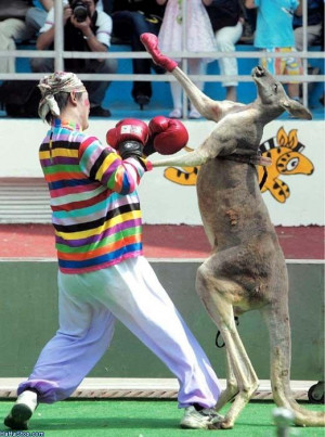 Views: 28,567 | Rating: 4.68