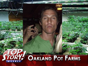 Matthew McConaughey weed quotes