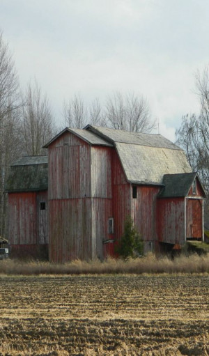 Old Barns