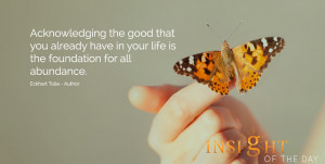 life daily quote: Acknowledging the good that you already have in your ...