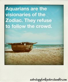 aquarius quotes More