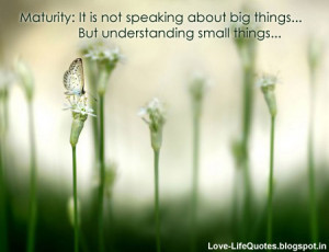 Maturity: It is not speaking about big things...