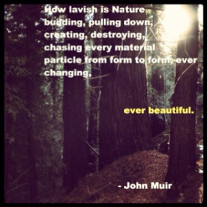 John Muir Quote 38 ... I love California and it's relationship to him ...