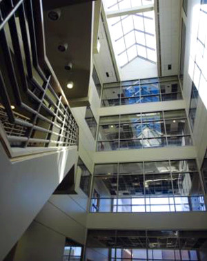 Here's a link to the live webcam: UTHSC : College of Pharmacy