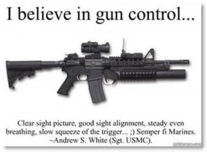 guns gun rights gun owner gun control pro guns 2nd amendment second ...