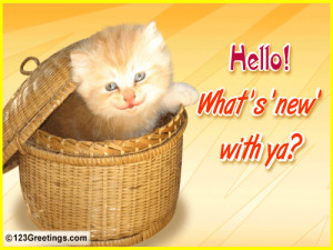 Catch up with your dear pal with this cute ecard.