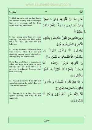 Quran Quotes in Arabic Quran in English Quran Quotes
