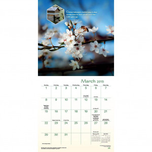 Bee Happy Wall Calendar