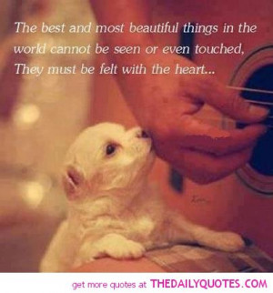 cute-puppy-love-nice-sayings-beautiful-heart-quotes-pictures-pics.jpg